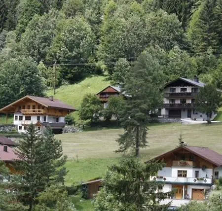Haus Alpenheim Apartment Ramsau am Dachstein